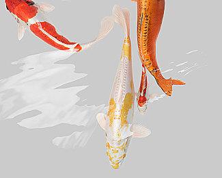 《深海搁浅》脱离抢先体验正式发售 仍没中文